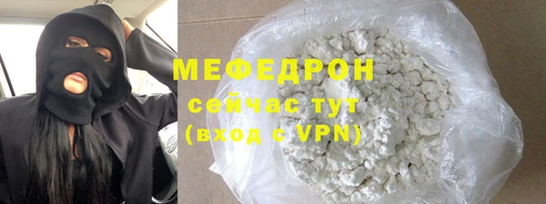 стаф Ельня