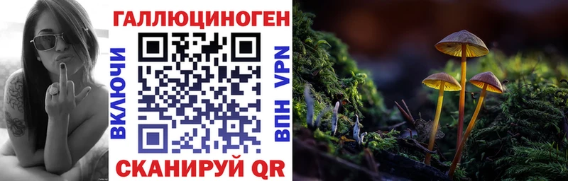 сколько стоит  Вятские Поляны  Псилоцибиновые грибы мухоморы 