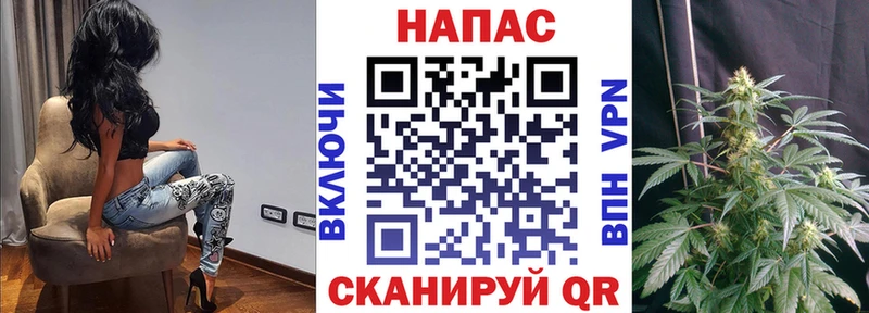 Шишки марихуана план  Вятские Поляны 